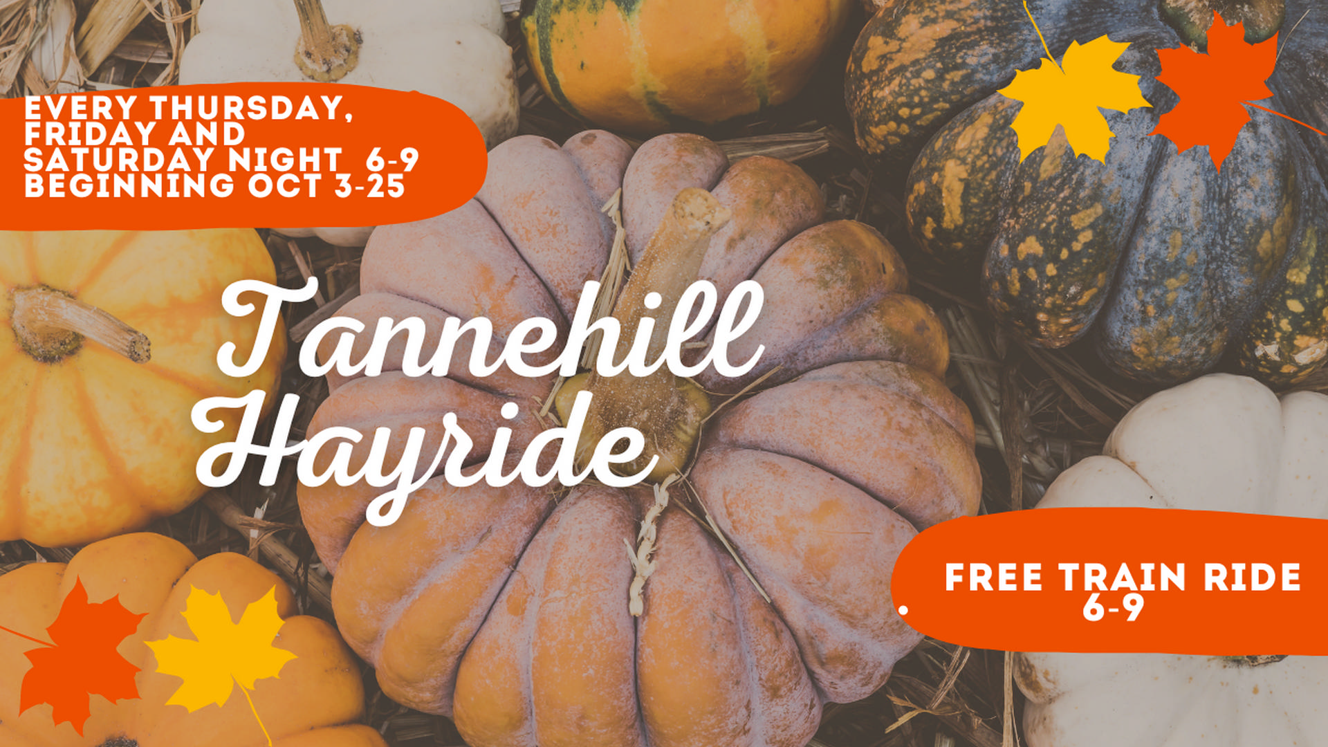 Tannehill Hayride October 2024